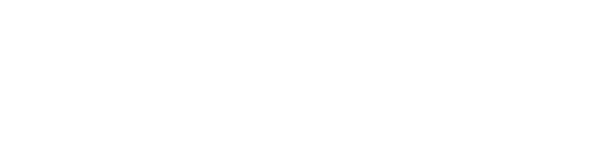 Ingenico